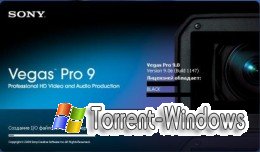 Sony Vegas Pro 9.0e Build 1147 (х86х64) [RUS] (2010)