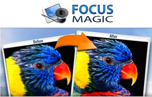 Focus Magic 5.00 for Windows Английский