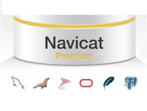 Navicat Premium 11.2.15 [En]