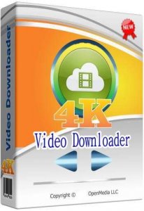 4K Video Downloader 4.14.1.4020 (2020) PC | RePack & portable by KpoJIuK