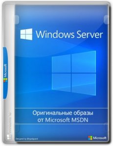 Windows Server, Version 20H2 (10.0.19042.685) (Updated December 2020) - Оригинальные образы от Microsoft MSDN [Ru/En]