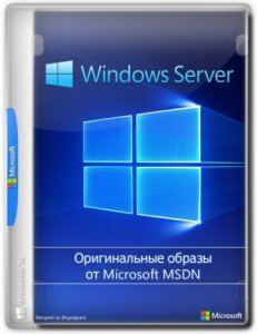 Windows Server 2019 LTSC Version 1809 Build 17763.1757 (Updated February 2021) Оригинальные образы от Microsoft MSDN [Ru/En]