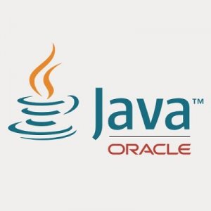 Java SE Development Kit 17.0.3 LTS [En]