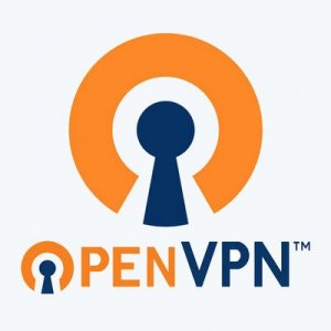 OpenVPN 2.5.6 RePack by elchupacabra [Multi/Ru]