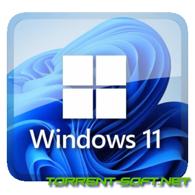 Www torrent soft net