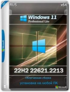 Windows 11 Pro 22H2 22621.2213 Lite (x64)